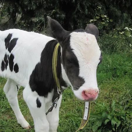 Orbigny Vakantiewoningen Casa vacanze *