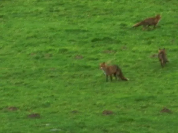 Casa vacanze Orbigny Vakantiewoningen *